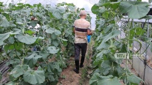 杭州网红打架吃瓜,网络热传的“吃瓜”瞬间  第2张